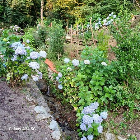 La casetta nel verde Côme Esterno foto